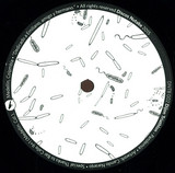 Dijon Traithlon - Pandemia