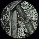 Sleeper - Burn Finger Ep