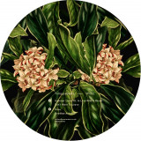 Tomppabeats - Summer Lover EP