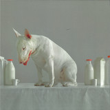 Blush Response // Years Of Denial And Alexey Volkov - Albedo Edition