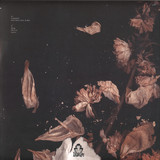Christopher Schwarzwalder - Leaves