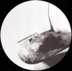 Oliver Kapp - Roadrunner