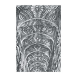 Megcsillan - Ösvényrol