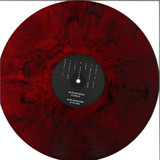 Gauthier - Live in Ravolution