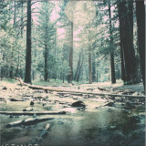 INSTINCT - Happening