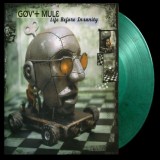 GOV’T MULE - LIFE BEFORE INSANITY