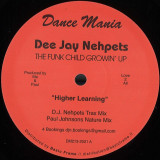 Dee Jay Nehpets - The Funk Child Growin' Up