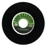 Istari Lasterfahrer - Acid Skanking Vol. 3