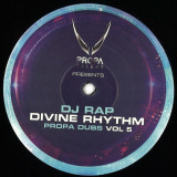 Dj Rap - Divine Rhythm Remixes EP