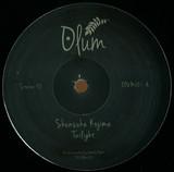 Shunsuke Kojima - Twilight / Soul Mekanik Remix
