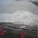 Jing - Artificial Salvation