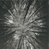 James Ginzburg & Yair Elazar Glotman - Nimbes