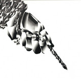 December - On A Leash