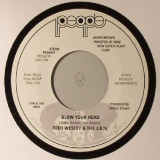 Fred Wesley & The Jb - Blow Your Head / Same Beat Part 1
