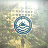 blackfox - 2x12" Pack / tag am meer