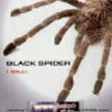Black Spider - I Will