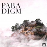Oliver Schories - Paradigm LP 3x12"