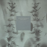 Root & Paul K - Society Of Illusions Ep