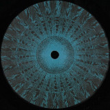 Do Or Die - Out Race