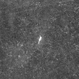 Birds Of Passage - The Last Garden