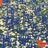 Jeigo - Cerulean (2xLP)