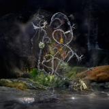 Maude Vôs - Medicinal Properties LP