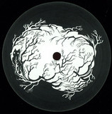 Deep Space Orchestra - Memory Lp Sampler