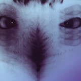 Nick Curly / Steffen Deux - Clapton Dry Ep
