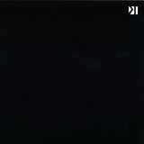 Adiel - Anatomia Del Cavallo