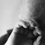 Stephano Vassiliadis - En Pyri / Bacchae