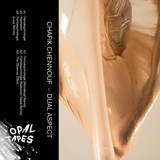 Chafik Chennouf - Dual Aspect