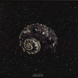 Denis Rood - Minotaur Ep