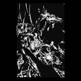 Various - Nervous System