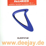 Palmrich - Got To Have Your Love