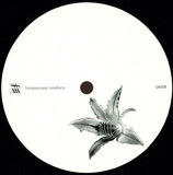 Lucy - Beelines For Working Bees