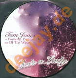 Tom Jones Vs. Funkstar Deluxe - She's A Lady
