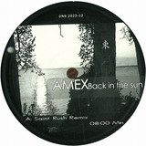 Amex - Back In The Sun