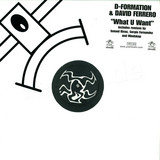 D-formation & David Ferrero - What U Want 2x12"