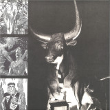 Pessimist - Empty Words