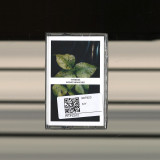 TYRESTA - Infinite Branches (TAPE)