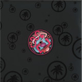 Malikk & Chicks Luv Us - Can We Dance?