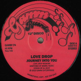 Vinyl Records Shop- GAMM Recordings