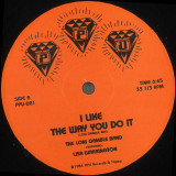 Loni Gamble Band feat. Lisa Warrington - I Like The Way You Do It