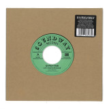 GYPSY FARI - CHI-TOWN REGGAE