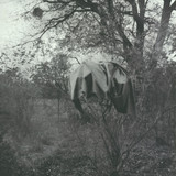 Scherbe - Jardin Du Midi Ep