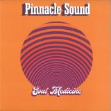 Pinnacle Sound - Soul Medicine