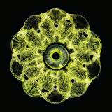 Strack - Voices Within EP