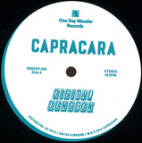 Capracara - Digital Dungeon / Digital Dungeon (remix