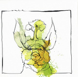 Acid Pauli & Nico Stojan - Call Of The Valley