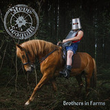 Steve Seagulls - Brothers In Farms